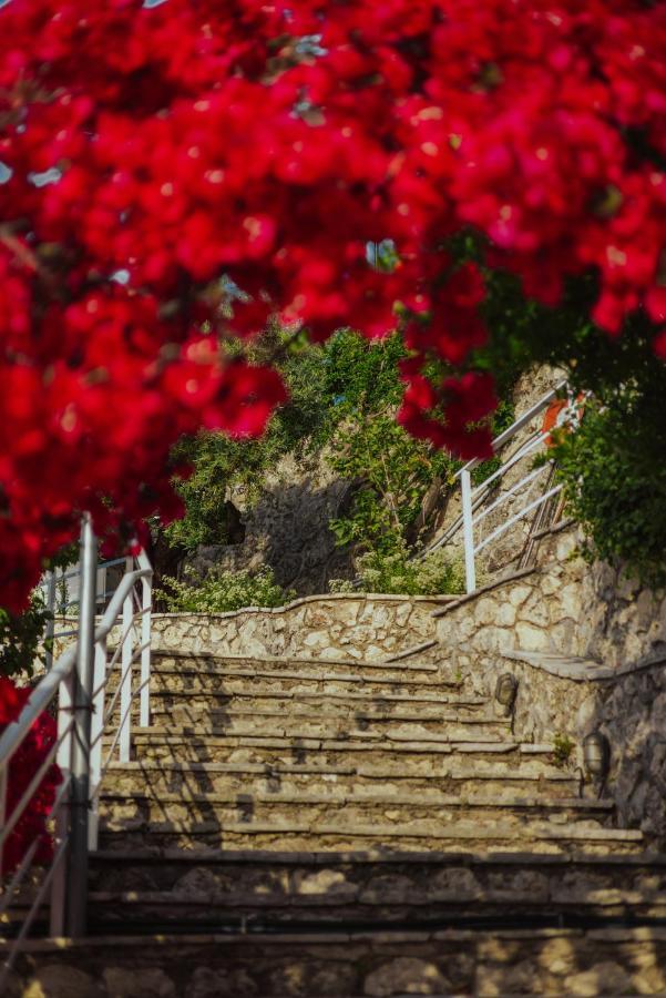 Sea Mansion Lefkada Lejlighed Nikiana Eksteriør billede